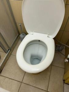 Canna Garden - Adults Only - 41