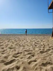 Asteria Bloom Side - 43