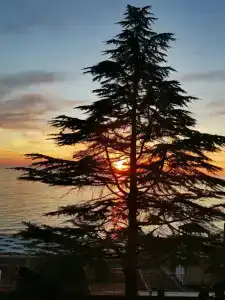 COOCOOROOZA Resort - 36