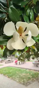 Akalam kantri klab - 46