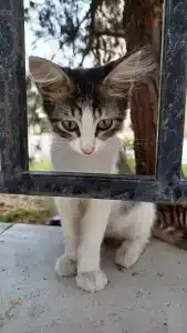 Aysberg Kaspiysk - 19