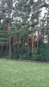 Lesnaya Skazka Restaurant-Complex - 80