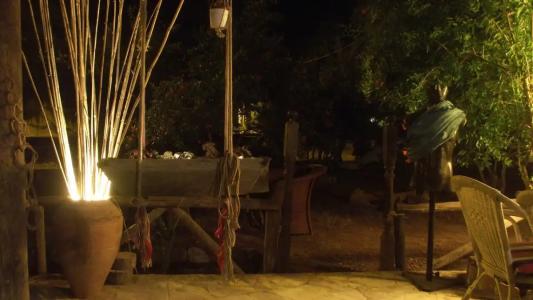 Koala Bungalows - 47