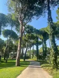 Robinson Nobilis - All Inclusive - 33