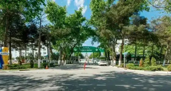 Lazurniy Bereg All Inclusive - 21