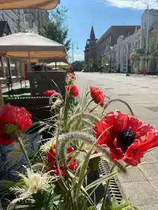 Bestuzhev Gostinica - 7