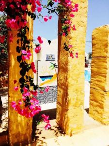 Djerba Saray - 84