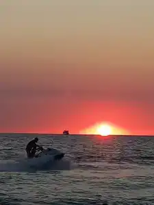 Кардинал - 7