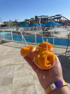 Pickalbatros Jungle Aqua Park - Neverland - 61