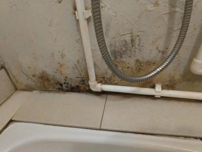 Апарт-Острова Marina - 24