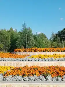 Kedrovyy Log - 11