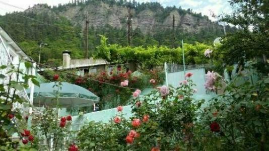 Guest House Green Rose - 20