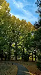 Baza Otdyha Lesnaya - 81