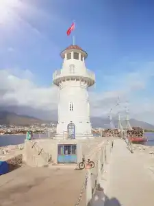 Kleopatra Royal Palm - 5