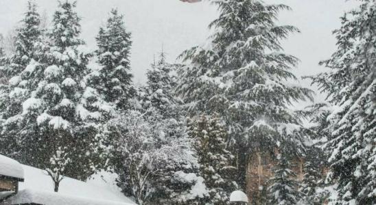 Màgic Ski by Nexta - 12