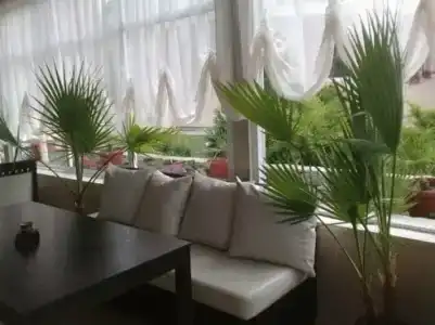 Tropics - 8