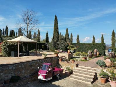 Rocca degli Olivi - 45