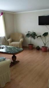 Guest House Green Rose - 27