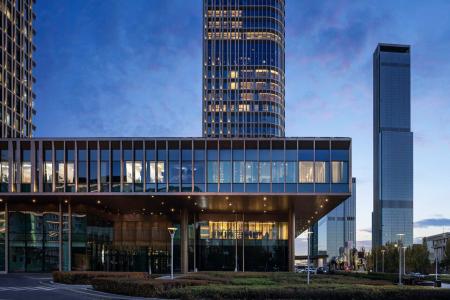 The Ritz-Carlton - 35