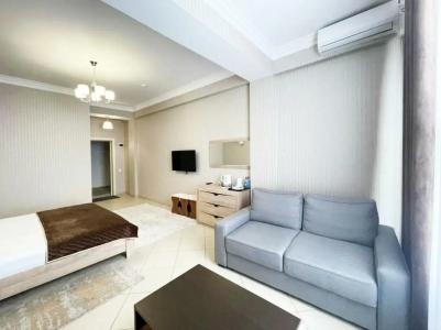 Пальмира - 12