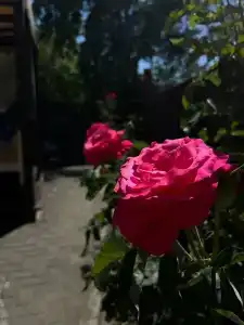 Kruiz All Inclusive - 38