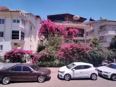 Pineta Park Deluxe - 4