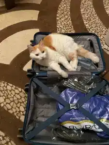 Azimut City Smolenskaya Moskva - 76