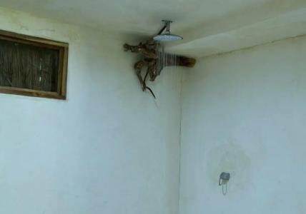 Serena Tulum - Adults Only - 84