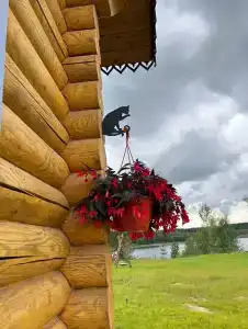 Recreation center Belaya moroshka - 76