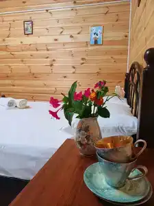 Avokado - 15