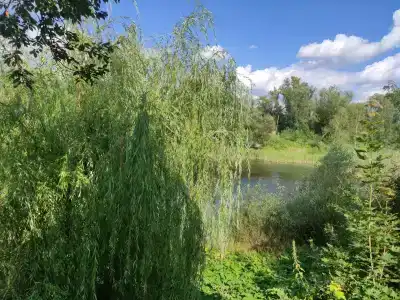 Yakovka57 Tourist base - 25