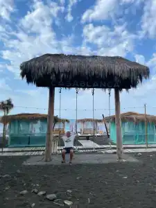 Кардинал - 14