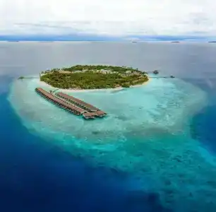 Reethi Faru, Bio Luxury Resort - 91