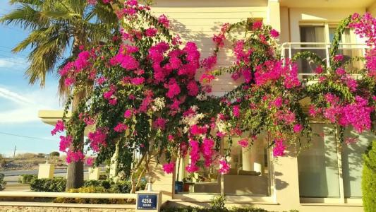 Kamer Exclusive & Suites - 14