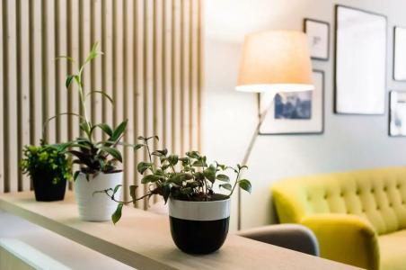 Sakvoyazh impressions - 9