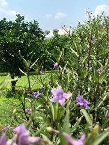 Le Jardin Resort Holiday Village - 72