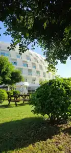 Gold Island Selected - 5