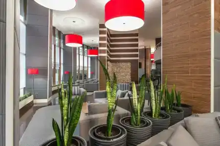 Rosslyn Dimyat Varna - 34