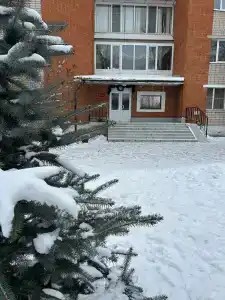 Роза Ветров - 18