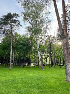 Swissôtel Wellness Resort Alatau - 83