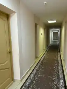 Belovezhskaya pushcha №2 - 31