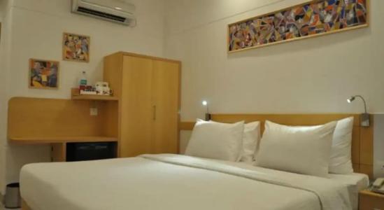 Red Fox, Jaipur - 32