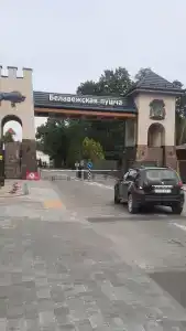 Belovezhskaya pushcha №2 - 14