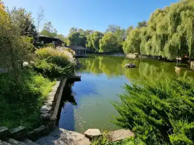 Zagorodny Klub Kura Tse Tse - 4