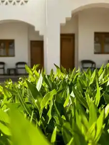 Dive Inn Resort - 43