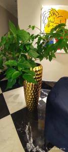 Solo Sokos Vasilievsky - 46