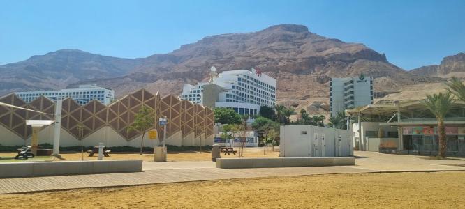 Brown Dead Sea - 46