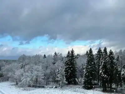 Mitino Health Resort - 13