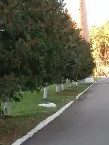 Sanatoriy-Profilaktory Olkhovka - 64