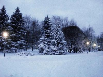 Nagornoe Holiday Home - 54